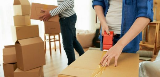 Why Should You Choose Professional Movers Over DIY
